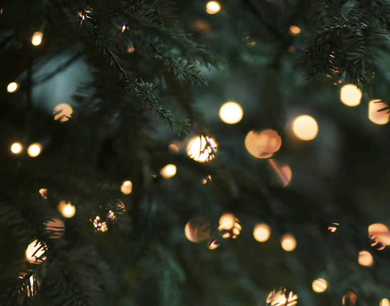Evergreen christmas lights ambiance